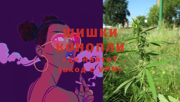 ПСИЛОЦИБИНОВЫЕ ГРИБЫ Верхнеуральск